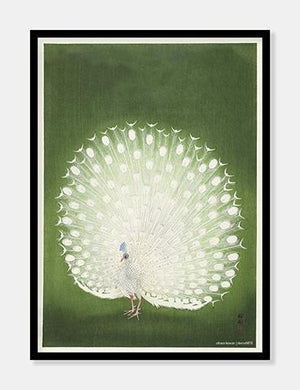 påfugl  |  OHARA KOSON - decoARTE