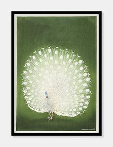 påfugl  |  OHARA KOSON - decoARTE