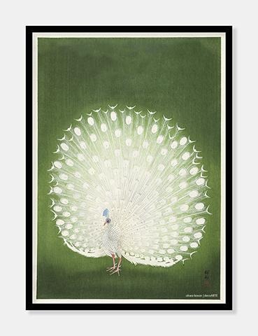 påfugl  |  OHARA KOSON - decoARTE