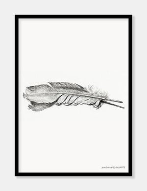 fjer  |  JEAN BERNARD  |  DECOARTE - decoARTE