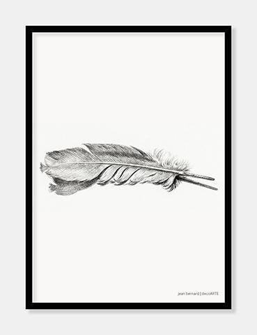 fjer  |  JEAN BERNARD  |  DECOARTE - decoARTE