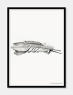 fjer  |  JEAN BERNARD  |  DECOARTE - decoARTE