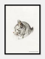 kat  |  JEAN BERNARD  |  DECOARTE - decoARTE