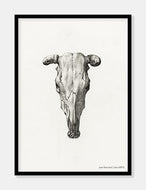 dyrekranie  |  JEAN BERNARD  |  DECOARTE - decoARTE