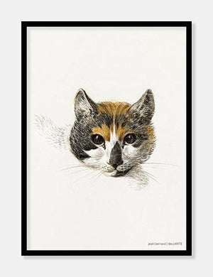 kat  |  JEAN BERNARD  |  DECOARTE - decoARTE