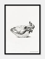 dyrekranie  |  JEAN BERNARD  |  DECOARTE - decoARTE