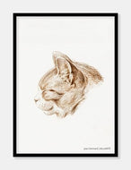 kat  |  JEAN BERNARD  |  DECOARTE - decoARTE