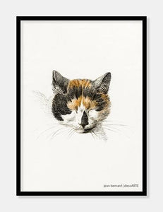 kat  |  JEAN BERNARD  |  DECOARTE - decoARTE