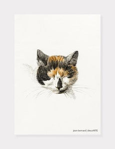 kat  |  JEAN BERNARD  |  DECOARTE - decoARTE