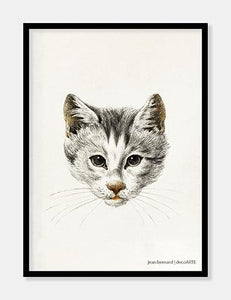 kat  |  JEAN BERNARD  |  DECOARTE - decoARTE
