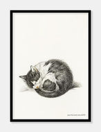 kat  |  JEAN BERNARD  |  DECOARTE - decoARTE