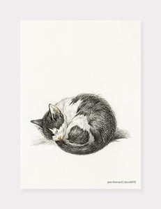 kat  |  JEAN BERNARD  |  DECOARTE - decoARTE