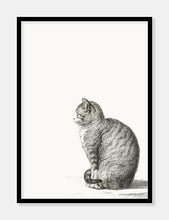 Indlæs billede til gallerivisning kat  |  JEAN BERNARD  |  DECOARTE - decoARTE
