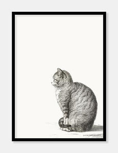 kat  |  JEAN BERNARD  |  DECOARTE - decoARTE