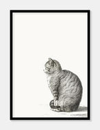 kat  |  JEAN BERNARD  |  DECOARTE - decoARTE
