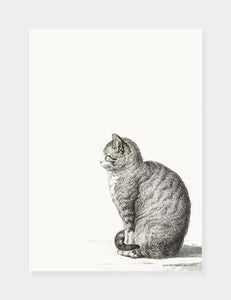 kat  |  JEAN BERNARD  |  DECOARTE - decoARTE
