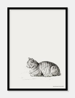 kat  |  JEAN BERNARD  |  DECOARTE - decoARTE