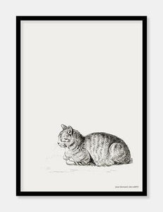kat  |  JEAN BERNARD  |  DECOARTE - decoARTE