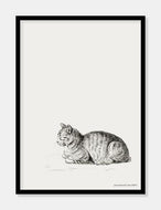 kat  |  JEAN BERNARD  |  DECOARTE - decoARTE