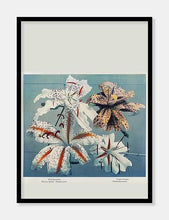 Indlæs billede til gallerivisning lilje  |  OGAWA KAZUMASA - decoARTE
