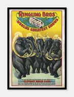 elefantorkester  |  RINGLING BROS  |  CIRKUSPLAKAT - decoARTE