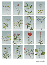 Indlæs billede til gallerivisning samleplakat med 16 blomster  |  BLÅTONE  |  FLORA BY FLOWERY - decoARTE
