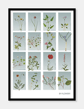 Indlæs billede til gallerivisning samleplakat med 16 blomster  |  BLÅTONE  |  FLORA BY FLOWERY - decoARTE

