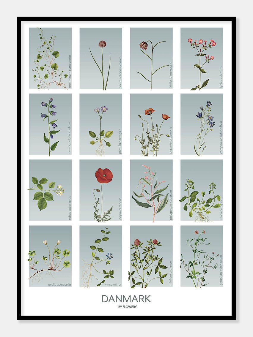 danmark  |  STEDSPLAKAT  |  FLORA BY FLOWERY - decoARTE