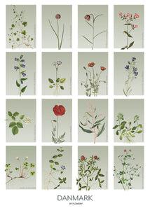 danmark  |  STEDSPLAKAT  |  FLORA BY FLOWERY - decoARTE