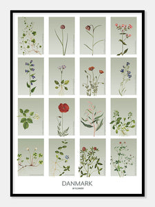 danmark  |  STEDSPLAKAT  |  FLORA BY FLOWERY - decoARTE