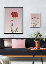 Indlæs billede til gallerivisning papaver rhoeas  |  KORNVALMUE  |  FLORA BY FLOWERY - decoARTE
