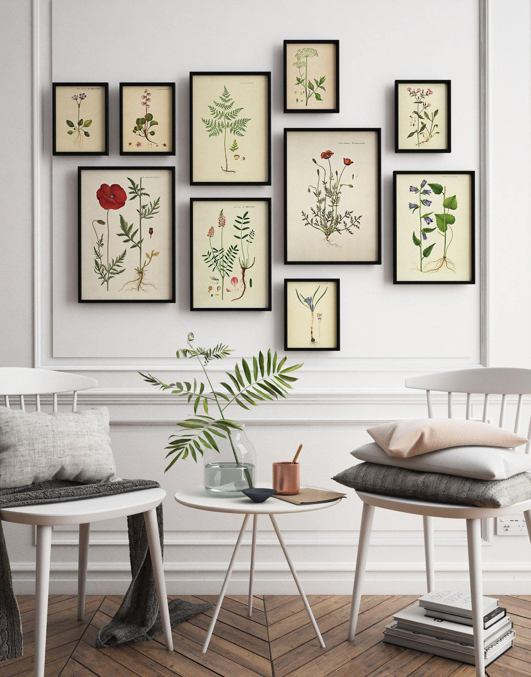 plakatvæg  |  FLORA DANICA - decoARTE