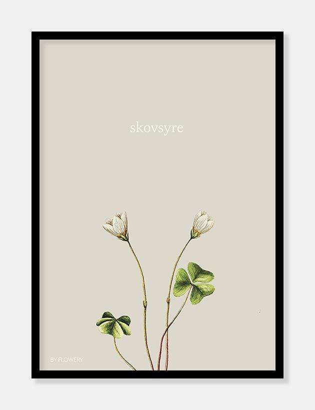 skovsyre  |  VILDBLOMSTER BY FLOWERY  |  UPCYCLED BY DECOARTE - decoARTE