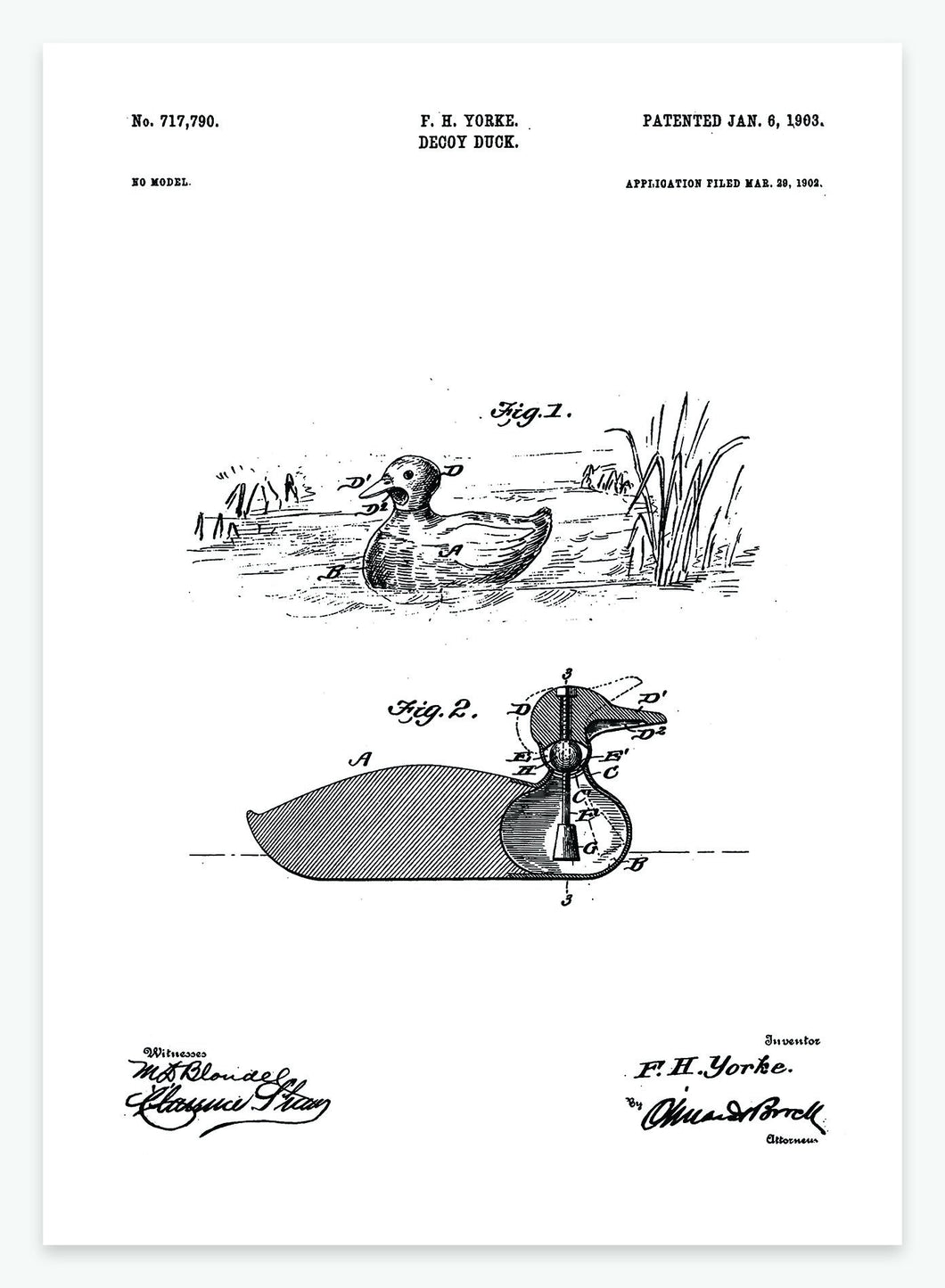 Lokkeand | Smukt patent til din væg | plakat | poster - decoARTE