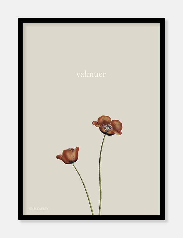 valmuer  |  VILDBLOMSTER BY FLOWERY  |  UPCYCLED BY DECOARTE - decoARTE