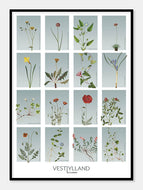 vestjylland  |  STEDSPLAKAT  |  FLORA BY FLOWERY - decoARTE