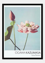 Indlæs billede til gallerivisning lotusblomst  |  OGAWA KAZUMASA - decoARTE
