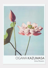 Indlæs billede til gallerivisning lotusblomst  |  OGAWA KAZUMASA - decoARTE

