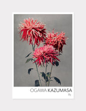 Indlæs billede til gallerivisning asa–dsuma–bune  |  OGAWA KAZUMASA - decoARTE
