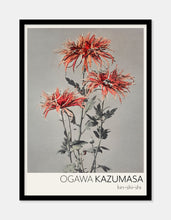 Indlæs billede til gallerivisning kin–shi–shi  |  OGAWA KAZUMASA - decoARTE
