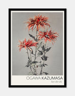kin–shi–shi  |  OGAWA KAZUMASA - decoARTE