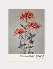 Indlæs billede til gallerivisning kin–shi–shi  |  OGAWA KAZUMASA - decoARTE
