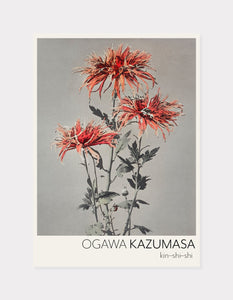 kin–shi–shi  |  OGAWA KAZUMASA - decoARTE