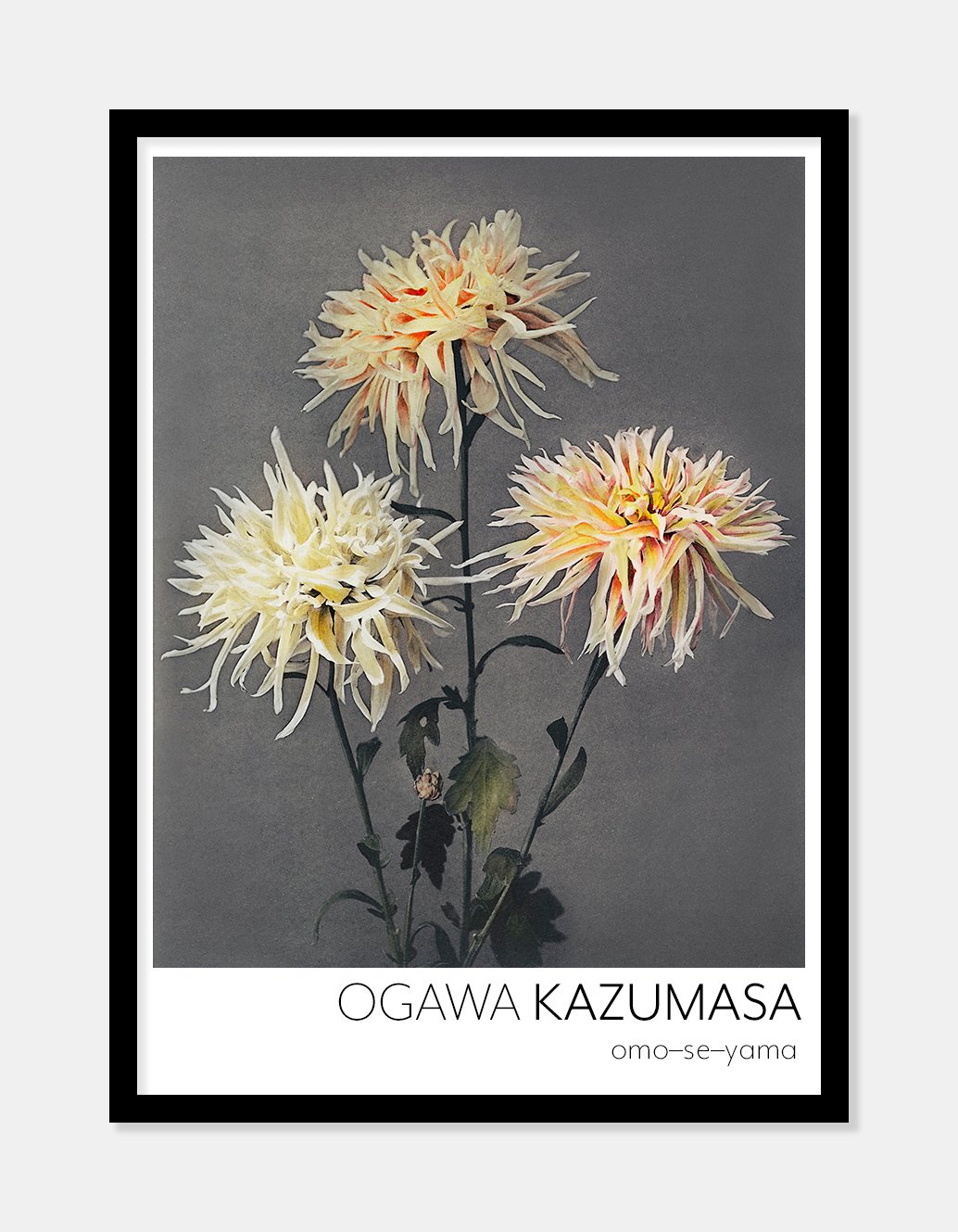 omo-se-yama  |  OGAWA KAZUMASA - decoARTE