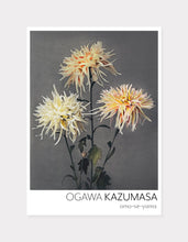 Indlæs billede til gallerivisning omo-se-yama  |  OGAWA KAZUMASA - decoARTE
