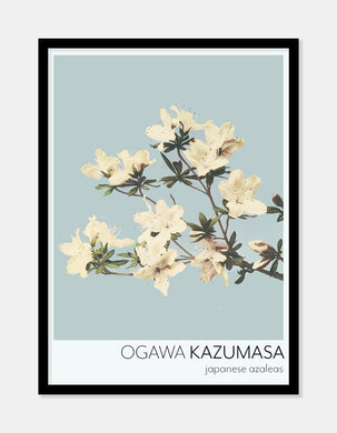 japansk azaleas  |  OGAWA KAZUMASA - decoARTE