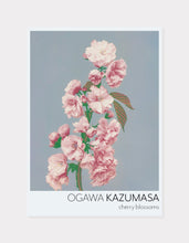 Indlæs billede til gallerivisning kirsebærblomster  |  OGAWA KAZUMASA - decoARTE
