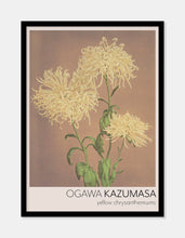 Indlæs billede til gallerivisning gul krysantemum  |  OGAWA KAZUMASA - decoARTE
