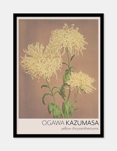 gul krysantemum  |  OGAWA KAZUMASA - decoARTE