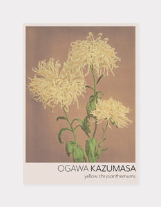 gul krysantemum  |  OGAWA KAZUMASA - decoARTE
